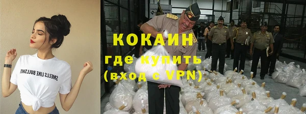 ПСИЛОЦИБИНОВЫЕ ГРИБЫ Гусев