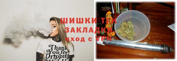 ПСИЛОЦИБИНОВЫЕ ГРИБЫ Гусев