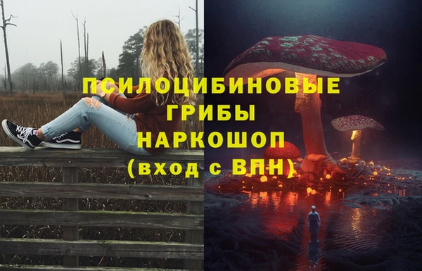 ПСИЛОЦИБИНОВЫЕ ГРИБЫ Гусев