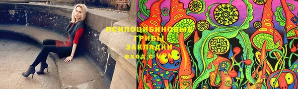 ПСИЛОЦИБИНОВЫЕ ГРИБЫ Гусев