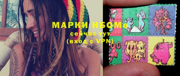молекула духа Гусиноозёрск