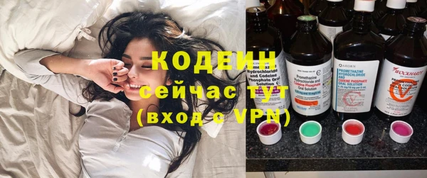 ПСИЛОЦИБИНОВЫЕ ГРИБЫ Гусев