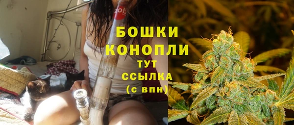 ПСИЛОЦИБИНОВЫЕ ГРИБЫ Гусев