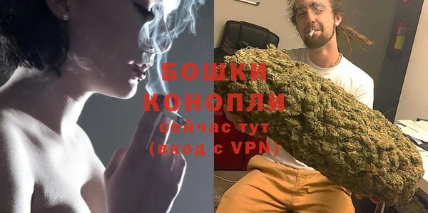 ПСИЛОЦИБИНОВЫЕ ГРИБЫ Гусев