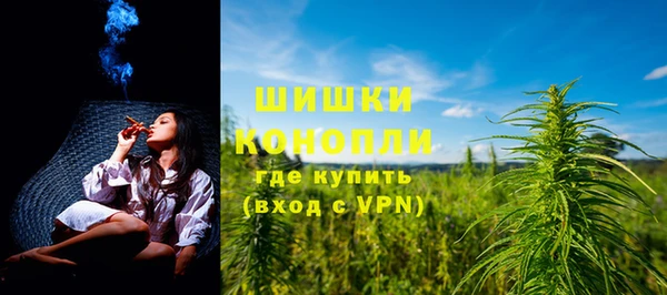 молекула духа Гусиноозёрск