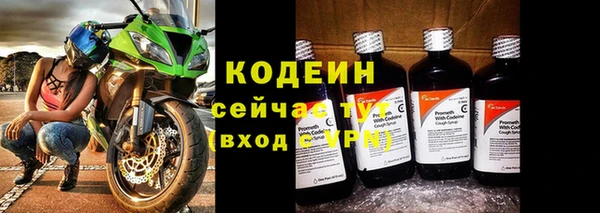 молекула духа Гусиноозёрск