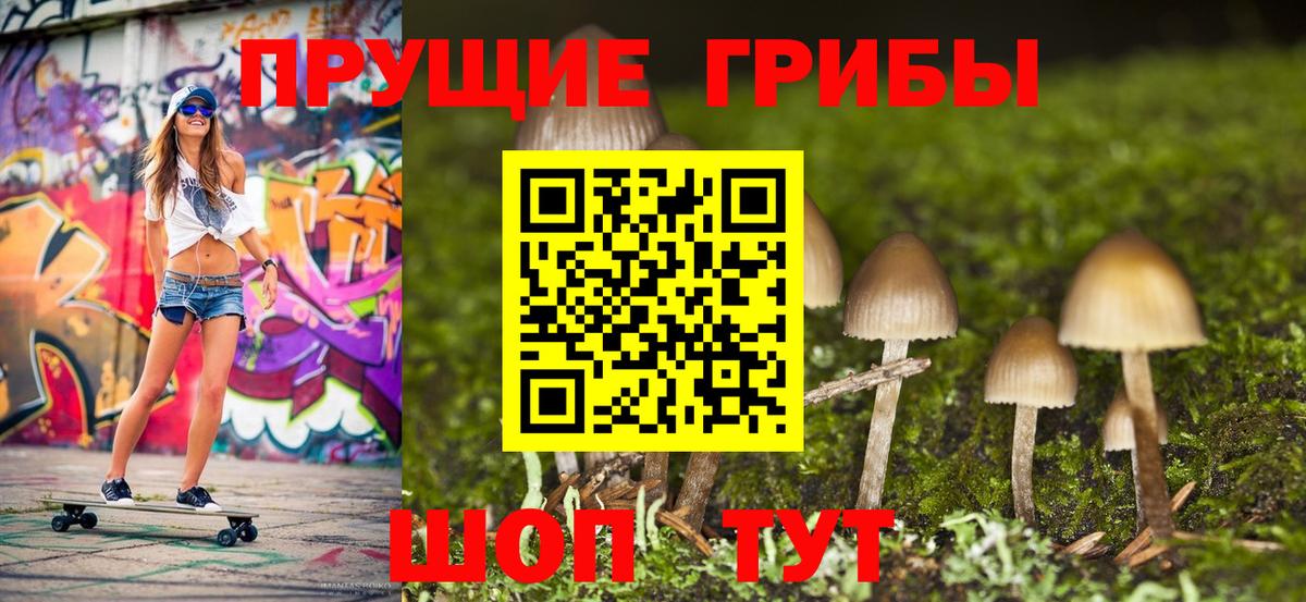 Галлюциногенные грибы MAGIC MUSHROOMS  Вход с VPN  Камышлов 