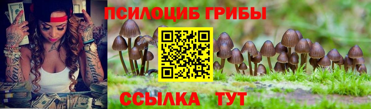 Псилоцибиновые грибы ЛСД Камышлов